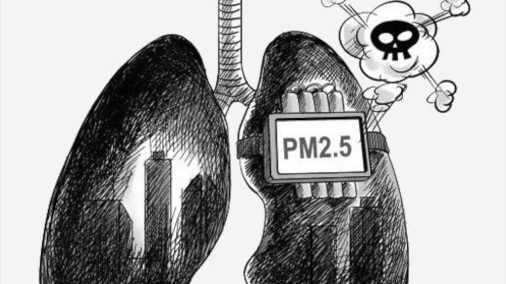 کاریکاتور اثرات افزایش غلظت ذرات ریز PM2.5 بر بدن انسان
