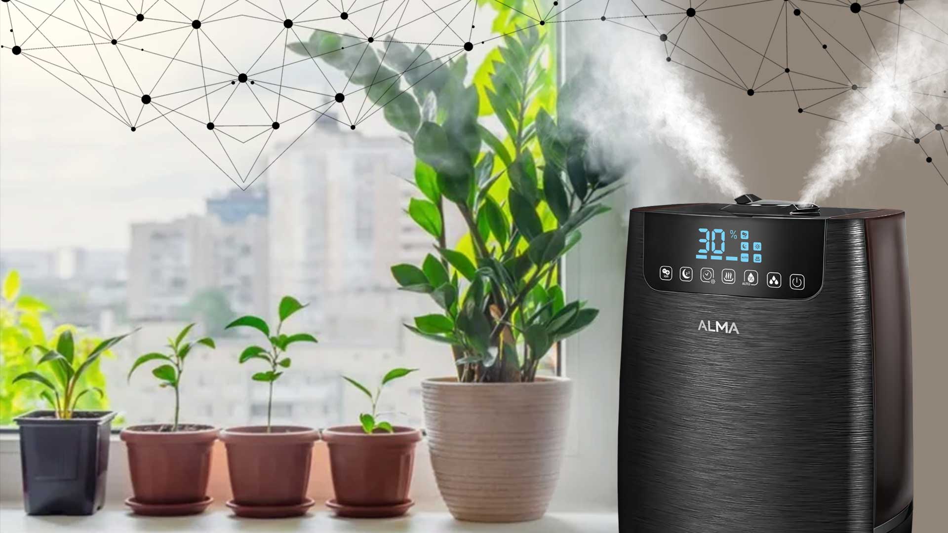 Cold humidifier for plants