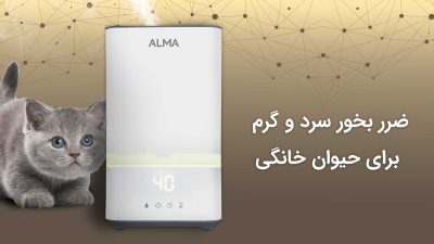ضرر بخور سرد و گرم برای حیوان خانگی