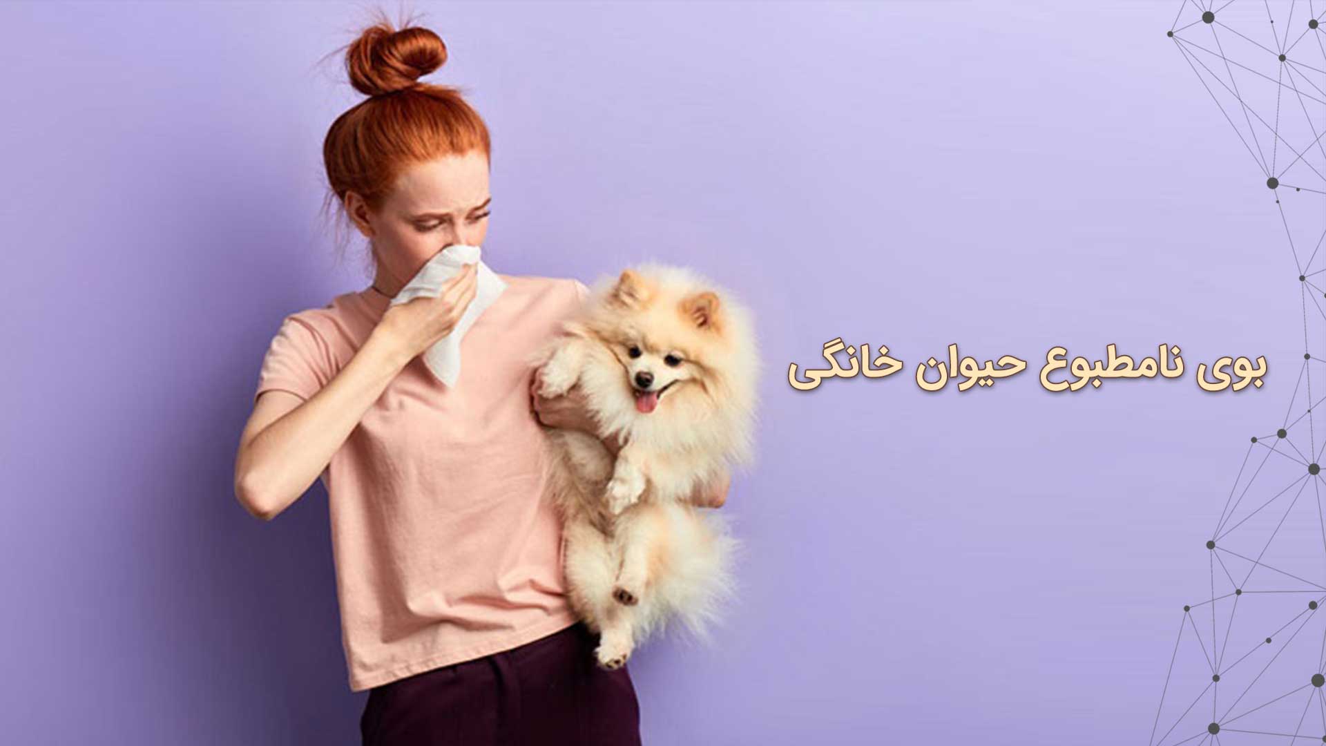 معرفی دستگاه‌های تصفیه هوای آلماپرایم برای صاحبان حیوانات
