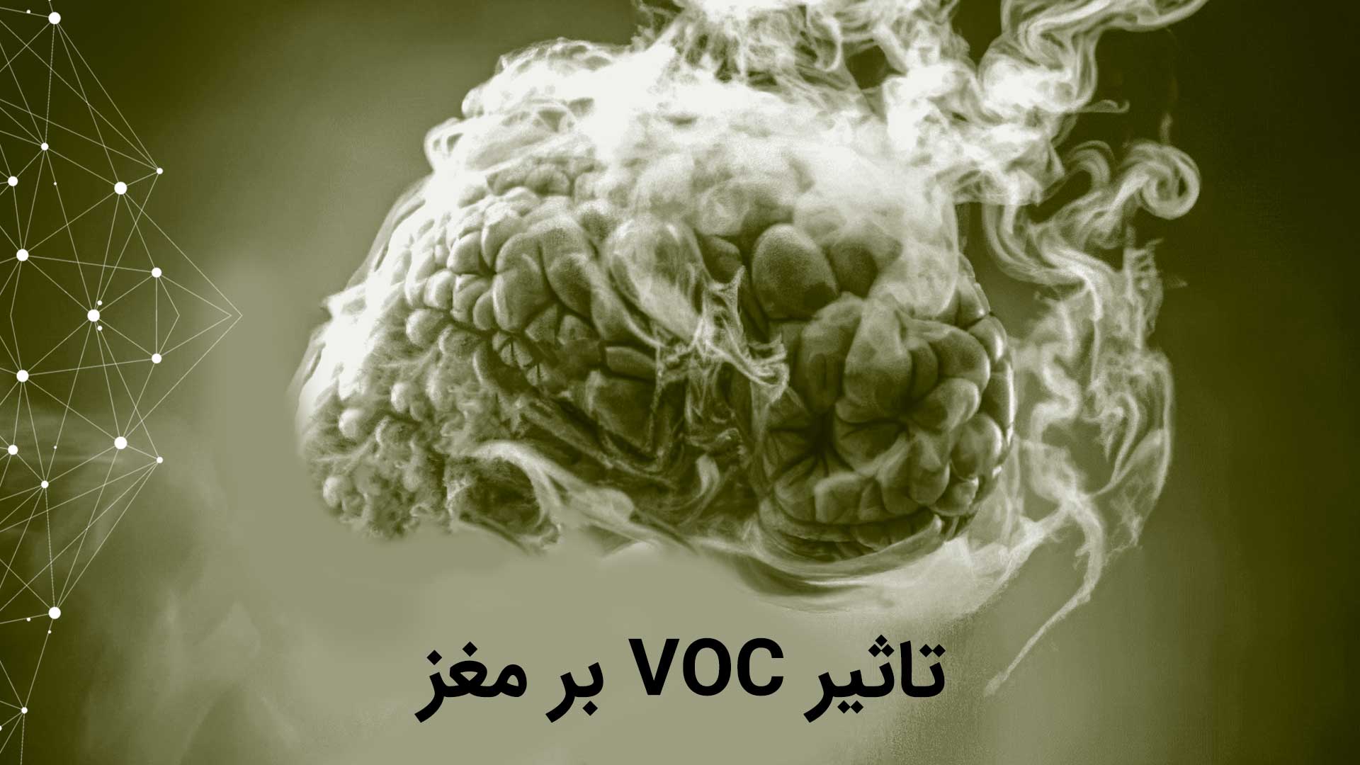 تاثیر-VOC-بر-مغز