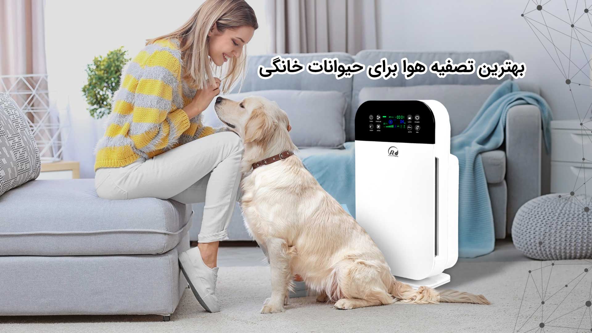 بهترین دستگاه تصفیه هوا برای حیوانات خانگی