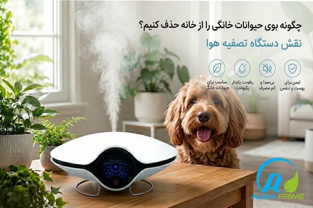چگونه بوی حیوانات خانگی را از خانه حذف کنیم؟ نقش دستگاه تصفیه هوا 1 بهترین ویژگیهای دستگاه تصفیه هوا برای خانههای دارای حیوان خانگی - آلماپرایم