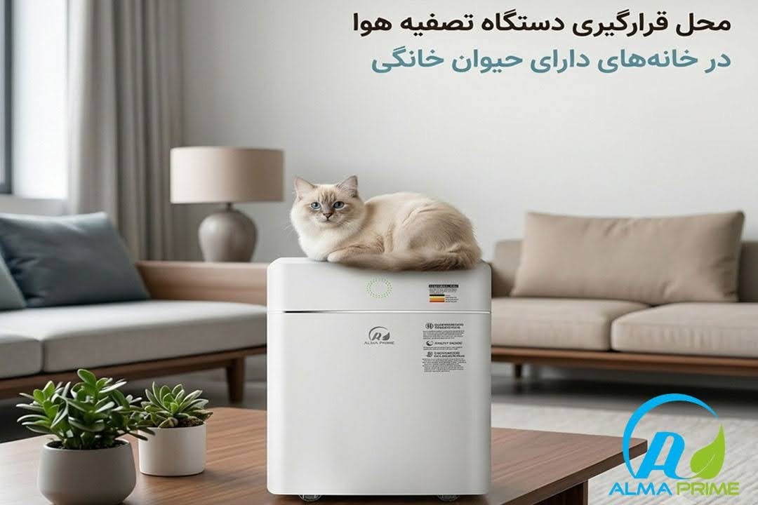 چگونه بوی حیوانات خانگی را از خانه حذف کنیم؟ نقش دستگاه تصفیه هوا 4 بهترین محل قرارگیری دستگاه تصفیه هوا در خانه دارای حیوانات خانگی - آلماپرایم
