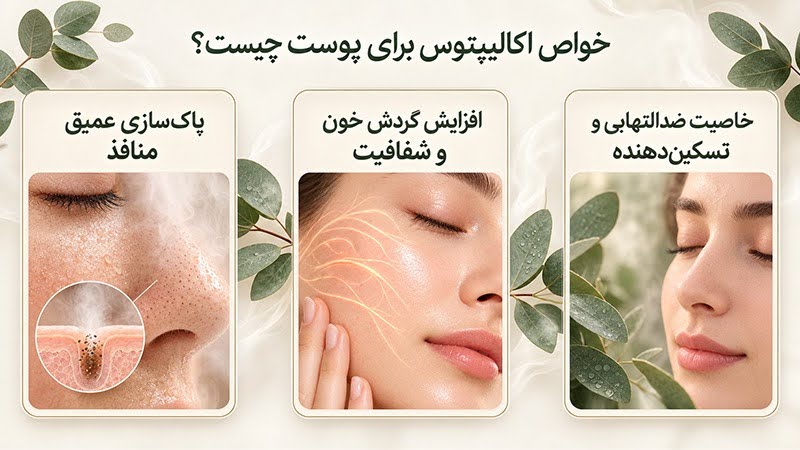 خواص بخور اکالیپتوس برای پوست و نکات مهمی که قبل از استفاده باید بدانید 1 خواص اکالیپتوس برای پوست شامل پاکسازی منافذ، افزایش شفافیت و خاصیت تسکیندهنده